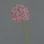 Kunstblume Allium ARNAU, violett, 60cm, Ø10cm