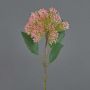 Kunststoff Blume Sedum telephium Blüte JICAMA, rosa-grün, 45cm, Ø12cm