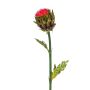 Künstliche Artischocken Blüte HAKONE, grün-rot, 80cm