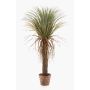 Kunstpflanze Yucca rostrata Palme FORMOSA, 110cm