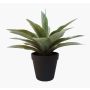 Kunst Sukkulente Drachenbaum-Agave DESIREE, grün, 20cm, Ø25cm