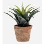 Kunstpflanze Agave decipiens SEDA im Terracottatopf, grün, 20cm, Ø25cm