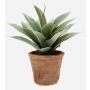 Kunst Sukkulente Drachenbaum-Agave DESIREE im Terracotta Topf, grün, 20cm, Ø25cm
