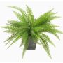 Kunstfarn Boston Farn REMY im Dekotopf, grün, 30cm