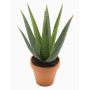 Künstliche Sukkulente Aloe Variegata MARTINEZ, Tontopf, grün, 30cm, Ø17cm