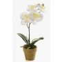 Fake Phalaenopsis Orchidee SETH im Dekotopf, creme, 25cm