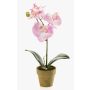 Fake Phalaenopsis Orchidee SETH im Dekotopf, rosa, 25cm