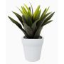 Kunstpflanze Agave decipiens SEDA im Keramiktopf, grün, 25cm, Ø25cm