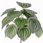 Kunstpflanze Zwergpfeffer ALARA auf Steckstab, grün, 25cm