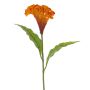 Blume künstlich Hahnenkamm ANUBIS, orange, 60cm, Ø14cm