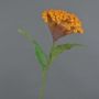 Blume künstlich Hahnenkamm ANUBIS, orange, 60cm, Ø14cm
