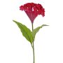 Blume künstlich Hahnenkamm ANUBIS, violett-rot, 60cm, Ø14cm
