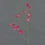 Kunstblumenzweig Lathyrus ASFALOTH, pink, 65cm, Ø3-5cm