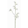 Kunstblumenzweig Lathyrus ASFALOTH, weiß, 65cm, Ø3-5cm
