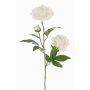 Kunstblumenzweig Pfingstrose ONYX, creme-weiß, 75cm, Ø10-13cm
