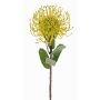 Künstliche Nadelkissen Protea BAILY, gelb-grün, 55cm, Ø10cm