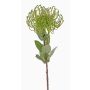 Künstliche Nadelkissen Protea BAILY, grün, 55cm, Ø10cm