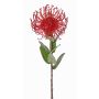 Künstliche Nadelkissen Protea BAILY, rot, 55cm, Ø10cm