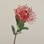 Künstliche Nadelkissen Protea BAILY, rot, 55cm, Ø10cm