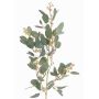 Eukalyptus Zweig künstlich COBAR mit Blüten, crossdoor, grün, 65cm, Ø1,5cm