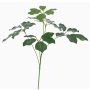 Künstlicher Schefflera Zweig CAPONE, crossdoor, grün, 50cm