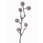 Deko Edeldistel Zweig ROBBY, silber, 80cm, Ø4cm