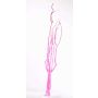 Deko Zweige Mitsumata GERY, 3 Stück, getrocknet, rosa, 105cm