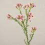 Wachsblume künstlich AISHA, rosa, 65cm, Ø1-1,5cm