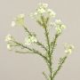 Wachsblume künstlich AISHA, creme-weiß, 65cm, Ø1-1,5cm