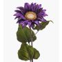 Samt Sonnenblume MAHEALANI, dunkellila-gold, 75cm