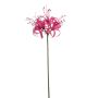Künstliche Gartenamaryllis NANFAJI, pink, 65cm