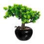Dekobaum Bonsai Lärche DALUP im Keramiktopf, Wurzeln, 19cm