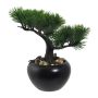 Kunstbaum Bonsai Kiefer FALKE mit Wurzeln, Keramiktopf, 19cm