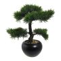 Kunstbaum Bonsai Zeder FALKE, Keramiktopf, 35cm