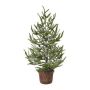 Dekobaum Fichte MALKE im Dekotopf, beschneit, 65cm
