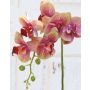 Phalaenopsis Orchideenzweig künstlich OPHELIA, pink-grün, 80cm, Ø8-9cm