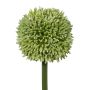 Dekoblume Allium MENKES, grün, 65cm