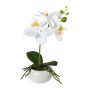Plastikblume Phalaenopsis Orchidee KASDA, Keramikschale, Wurzeln, weiß, 27cm