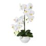 Plastikblume Phalaenopsis Orchidee KASDA, Keramiktopf, Wurzeln, weiß, 50cm