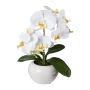 Plastikblume Phalaenopsis Orchidee KASDA, Keramiktopf, weiß, 35cm
