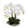 Textil Phalaenopsis Orchidee MANULO, Keramikschale silber, Wurzeln, weiß, 40cm