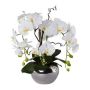 Deko Orchidee Korkenzieherweide Gesteck LULUDI, Keramiktopf silber, Wurzeln, weiß, 55cm