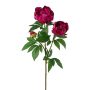 Deko Zweig Pfingstrose SLORVE, cerise, 70cm