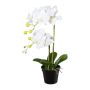 Plastikblume Phalaenopsis Orchidee WENJAN, Dekotopf, Wurzeln, weiß, 55cm