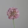Deko Blume Zierlauch KATHRINA, violett, 70cm