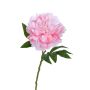 Textilblume Pfingstrose AKIHLA, rosa-creme, 60cm