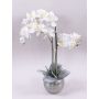 Unechte Phalaenopsis Orchidee KAREN, Dekotopf, gefroren, weiß, 60cm