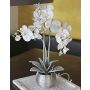 Unechte Phalaenopsis Orchidee KAREN, Dekotopf, gefroren, weiß, 60cm