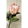 Deko Blumenzweig Königs-Protea TANIEKA, rosa-lila-weiß, 65cm, Ø9cm