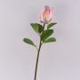 Deko Blumenzweig Königs-Protea TANIEKA, rosa-lila-weiß, 65cm, Ø9cm